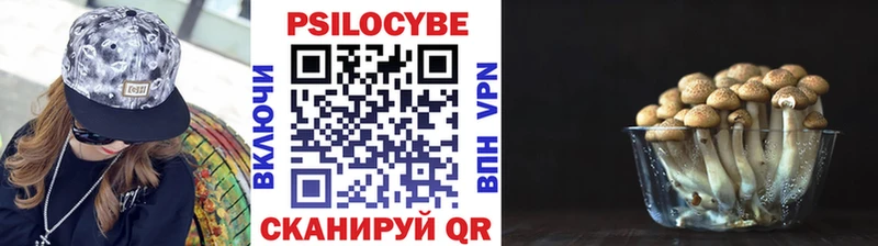 Псилоцибиновые грибы MAGIC MUSHROOMS  Топки 