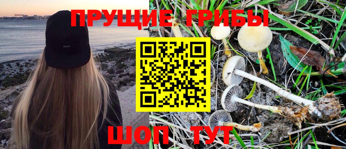 Топки  Псилоцибиновые грибы Psilocybine cubensis  Галлюциногенные грибы Cubensis  Вход с VPN 