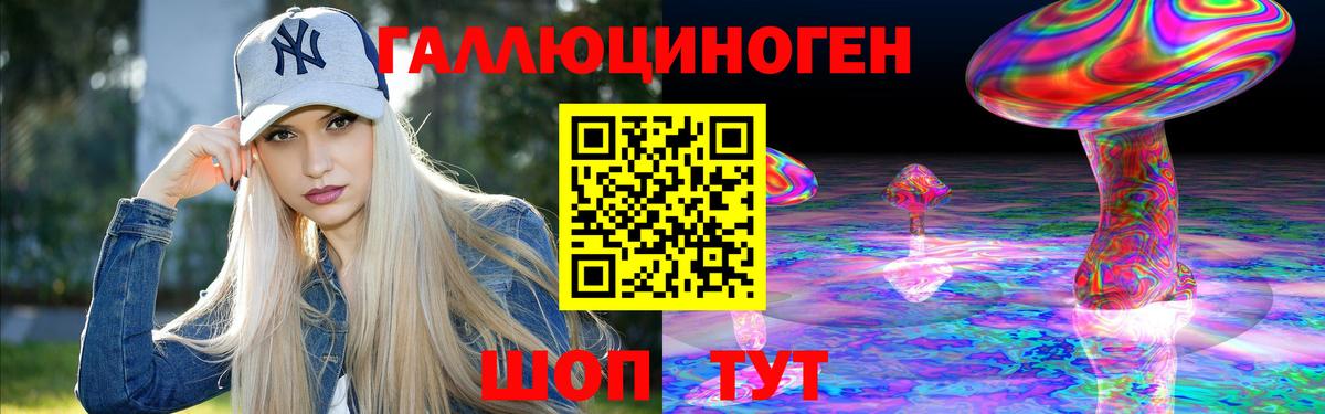 Псилоцибиновые грибы Psilocybe Топки